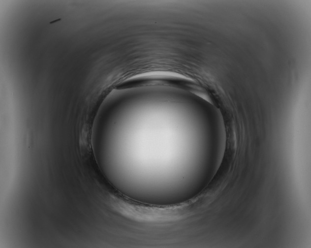 X0000086740044200704201714