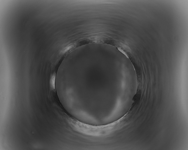 X0000086740047200704201714