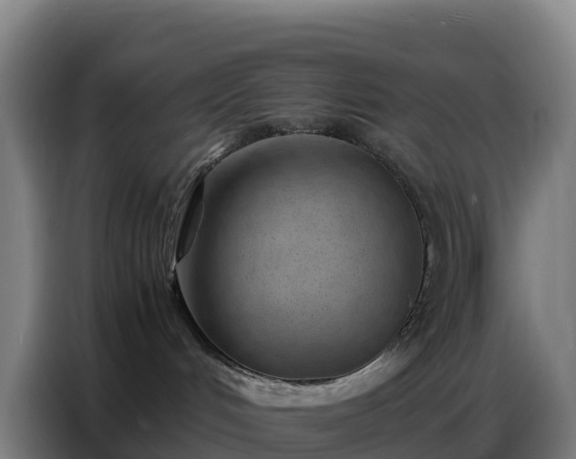 X0000086740048200704201714