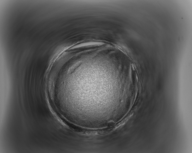 X0000086740049200704201713