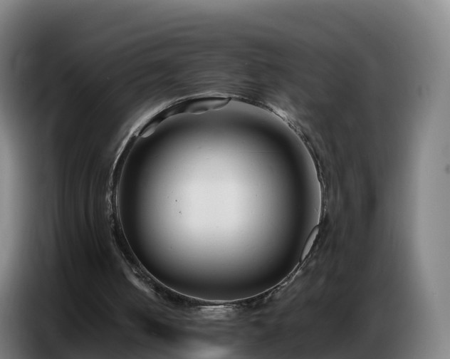 X0000086740050200704201713