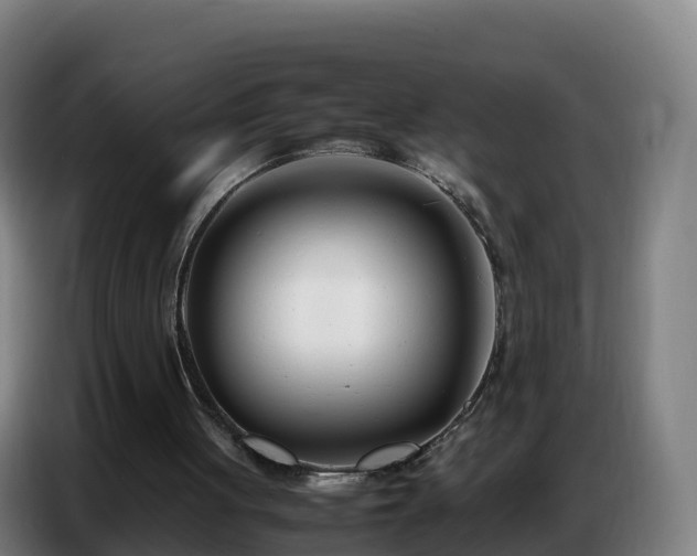 X0000086740051200704201713