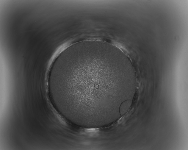 X0000086740053200704201713