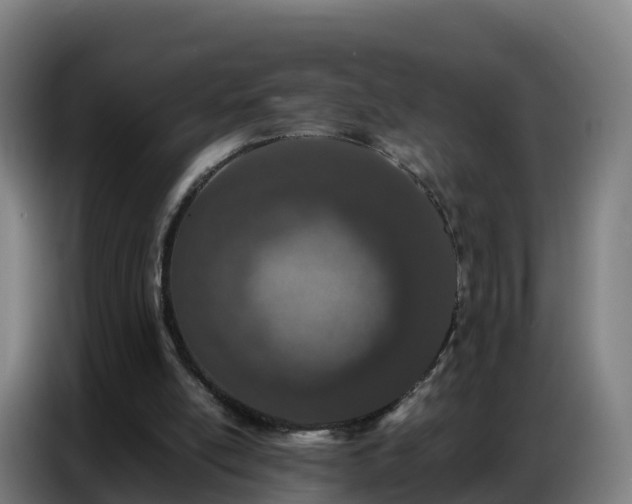 X0000086740054200704201714