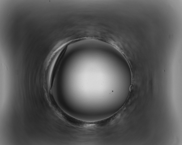 X0000086740055200704201714