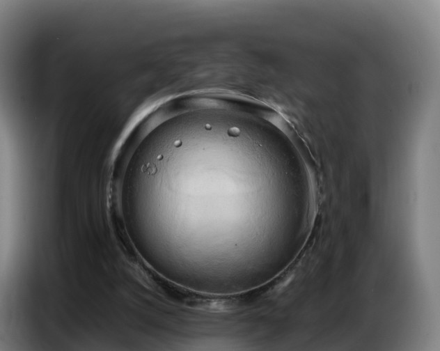 X0000086740056200704201714