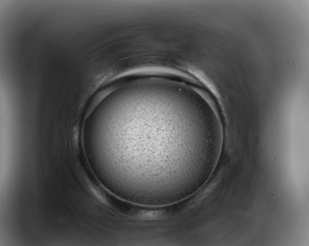 X0000086740057200704201714