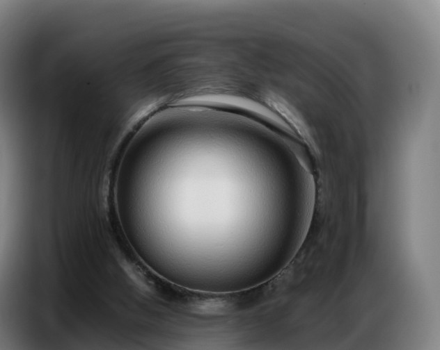 X0000086740058200704201714