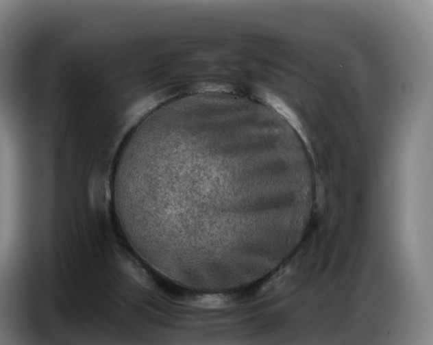 X0000086740059200704201714