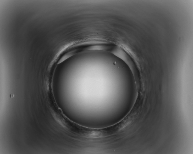 X0000086740060200704201714