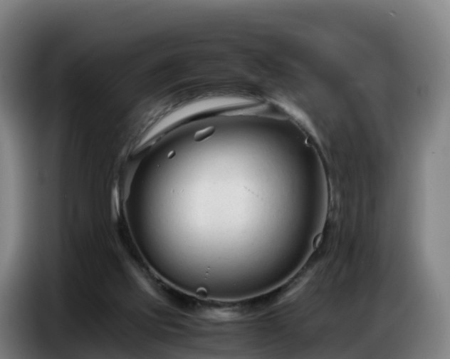 X0000086740061200704201714