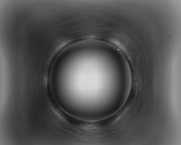 X0000086740063200704201714