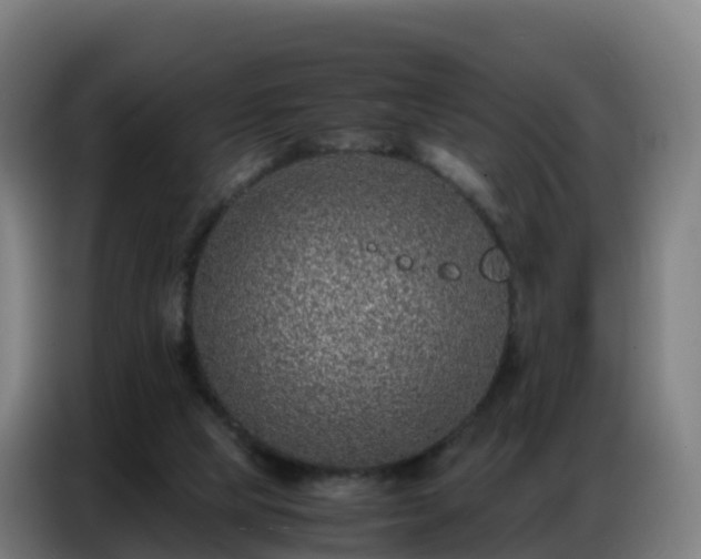 X0000086740065200704201714