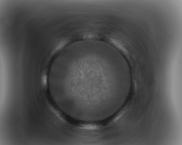 X0000086740067200704201714