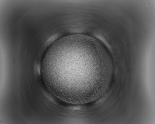 X0000086740068200704201714