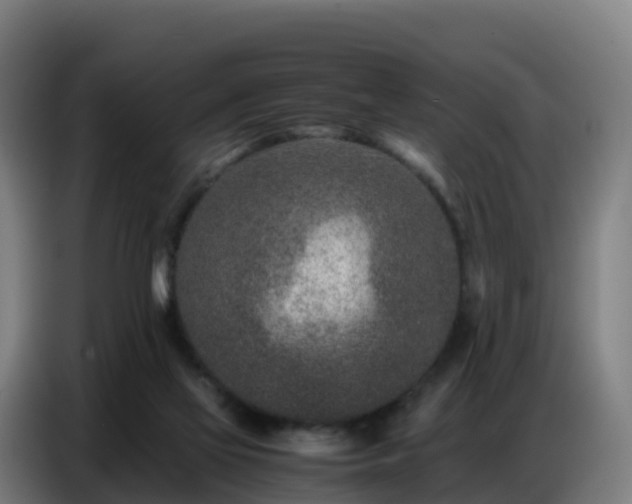 X0000086740069200704201714