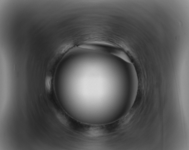 X0000086740070200704201714