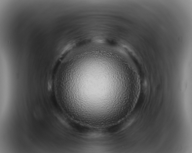 X0000086740072200704201714