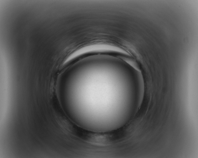 X0000086740073200704201714