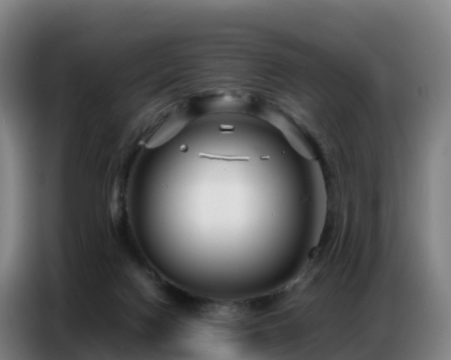 X0000086740074200704201714