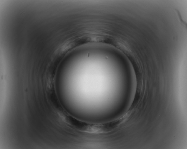 X0000086740078200704201714