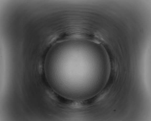 X0000086740080200704201714