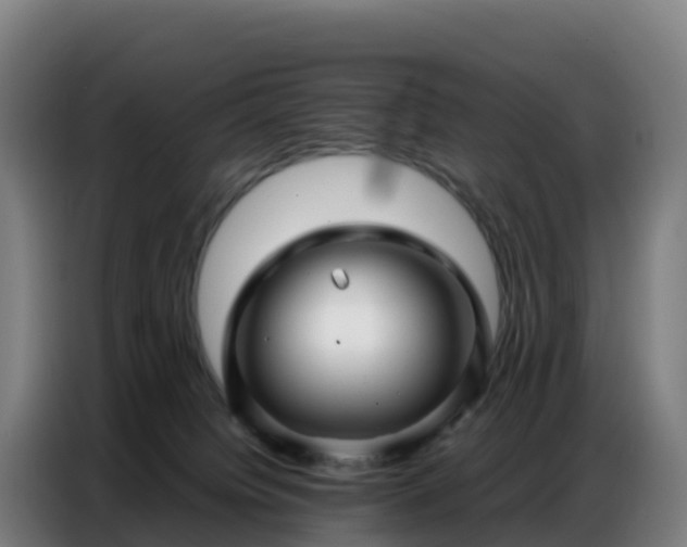 X0000086740084200704201714