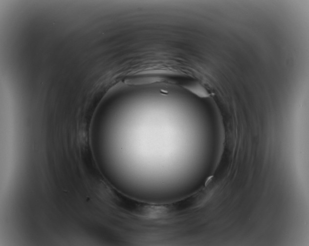 X0000086740085200704201714