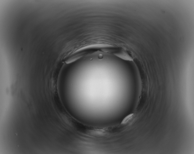 X0000086740086200704201714