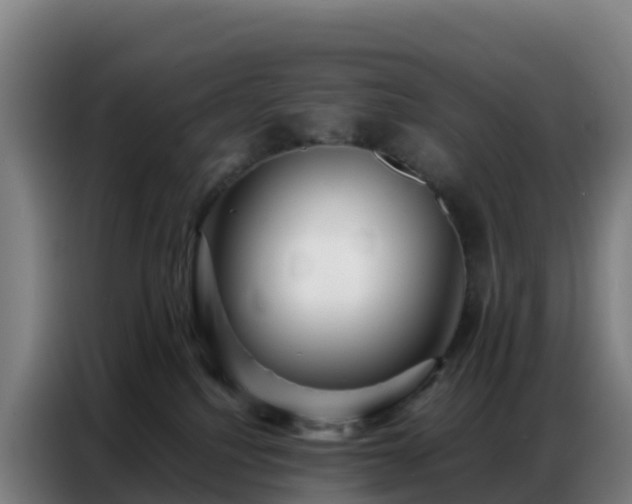 X0000086740088200704201714