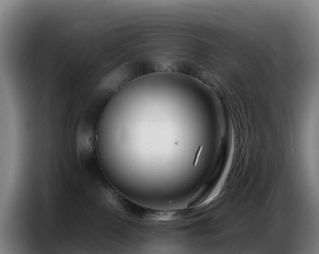 X0000086740090200704201714