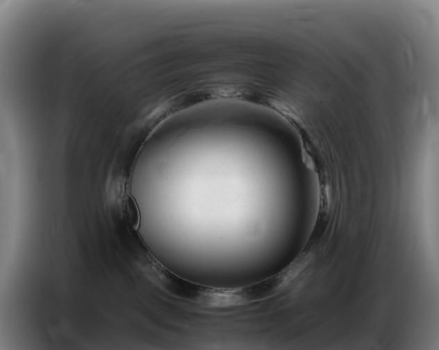 X0000086740093200704201714