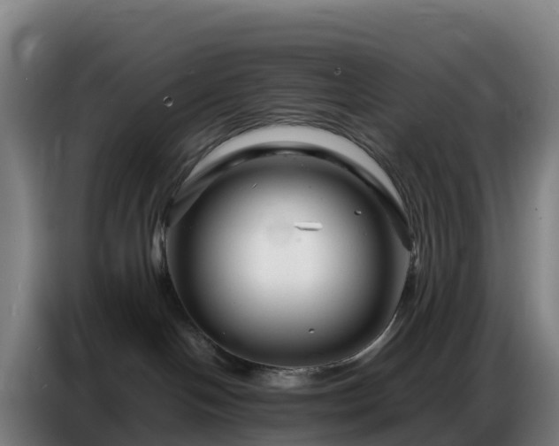 X0000086740094200704201714