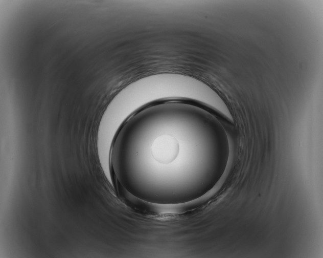 X0000086740096200704201714