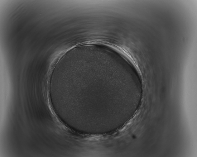 X0000086740097200704201713