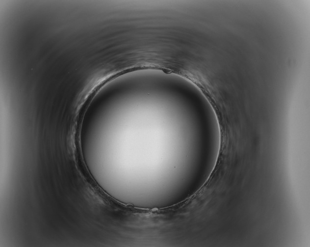 X0000086740098200704201713