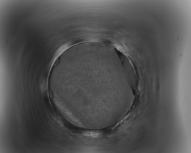 X0000086740099200704201713