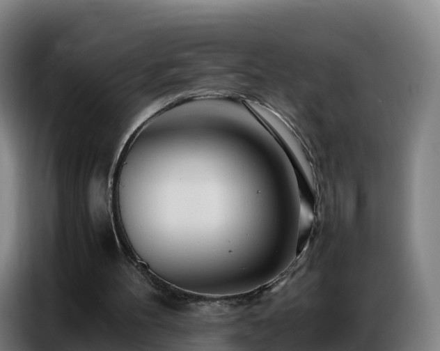 X0000086740100200704201713