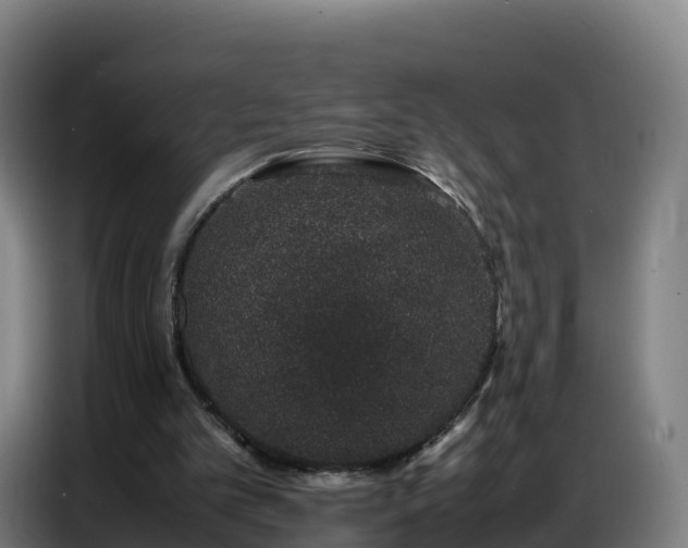 X0000086740101200704201713