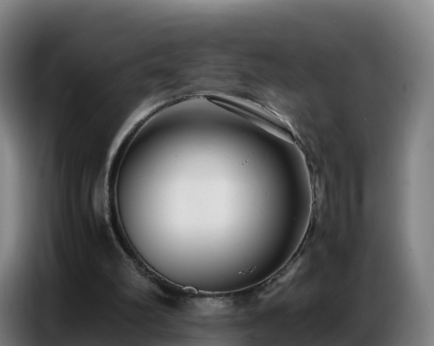 X0000086740102200704201713