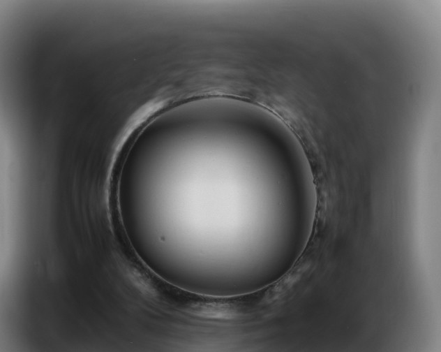 X0000086740104200704201713