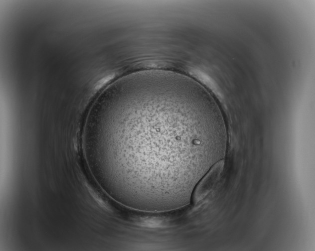 X0000086740105200704201713