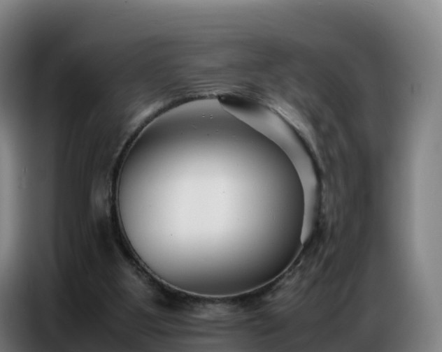 X0000086740107200704201713