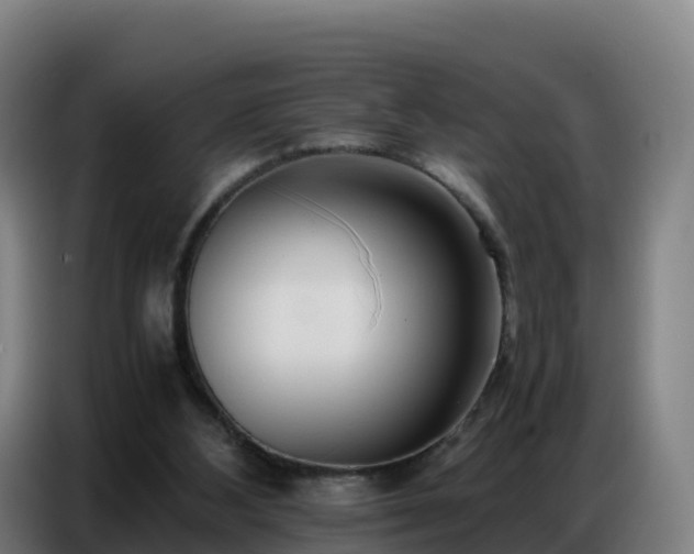 X0000086740108200704201713