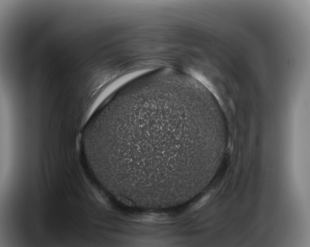 X0000086740109200704201713