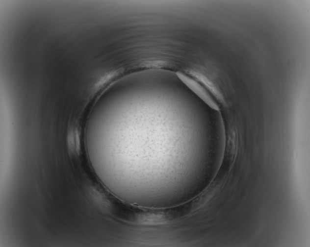 X0000086740110200704201713