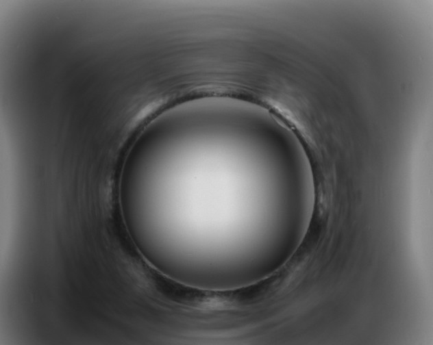 X0000086740111200704201713