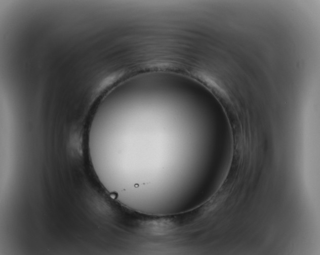 X0000086740112200704201713