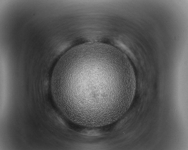 X0000086740113200704201713