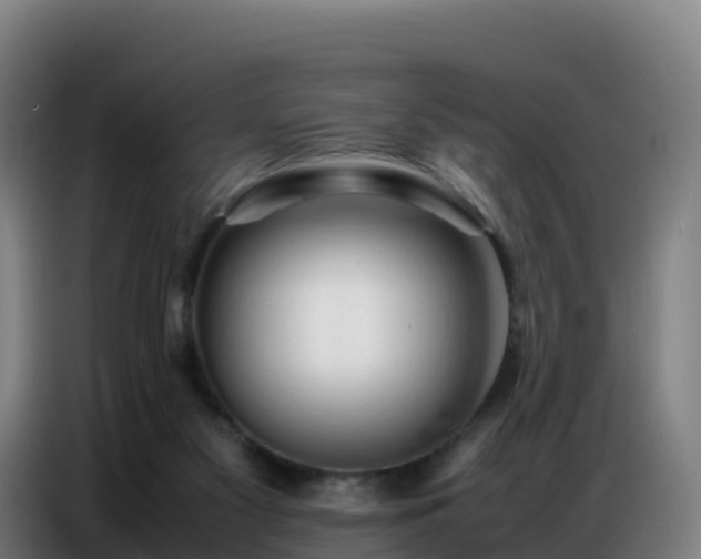 X0000086740117200704201713